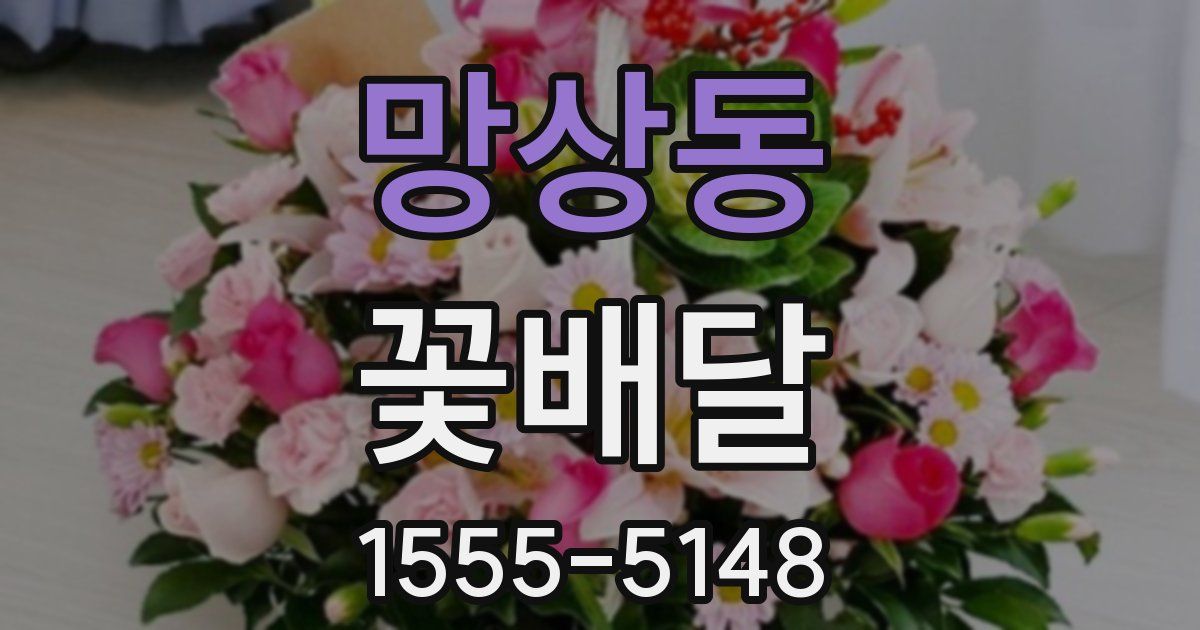망상동 꽃배달