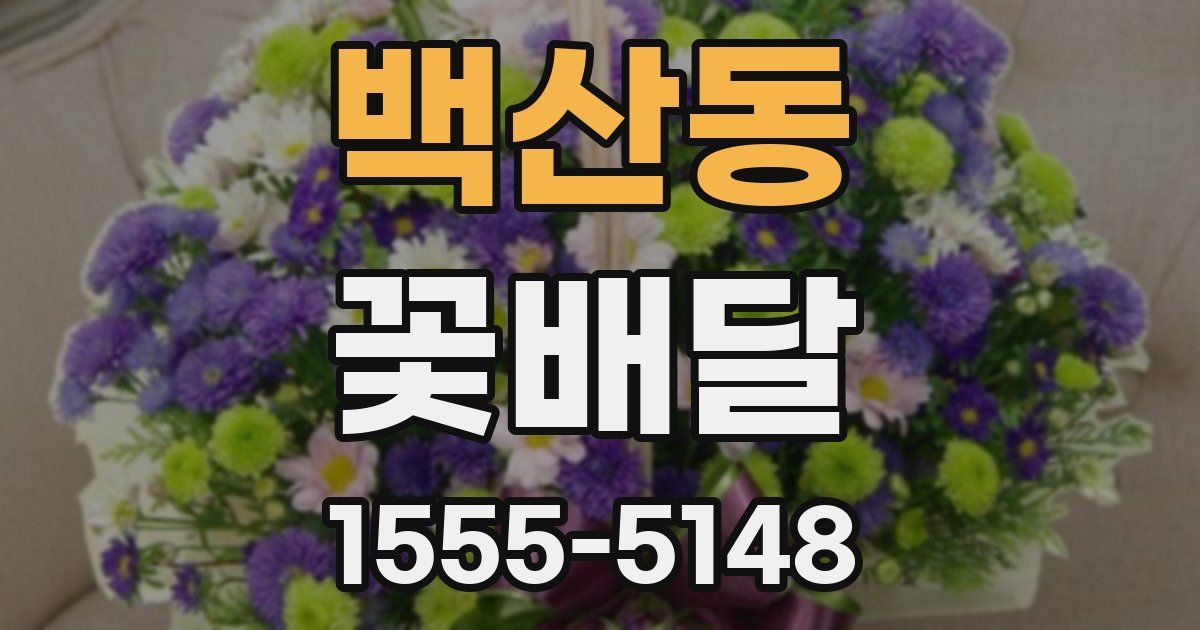 백산동 꽃배달