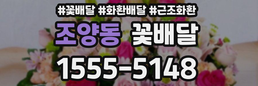 조양동 꽃배달
