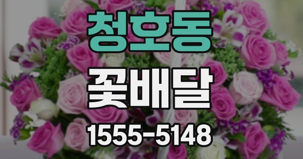 청호동 꽃배달