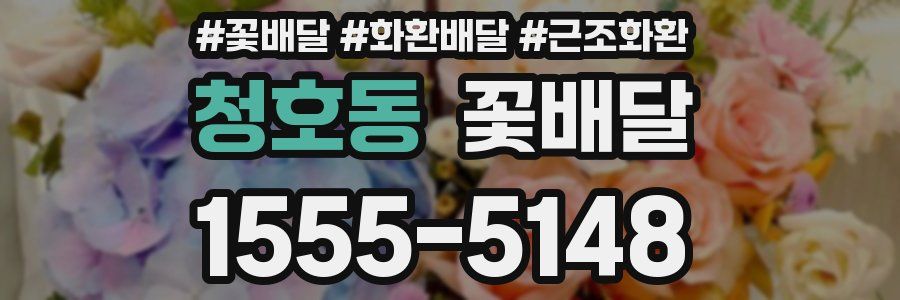 청호동 꽃배달
