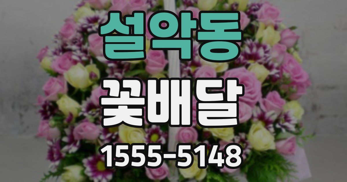 설악동 꽃배달