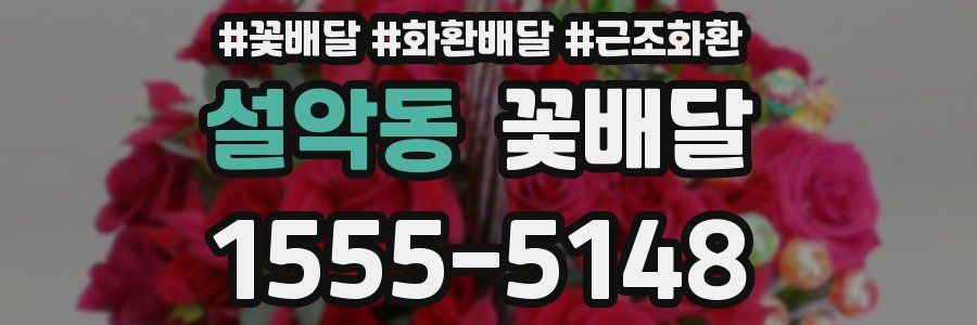 설악동 꽃배달