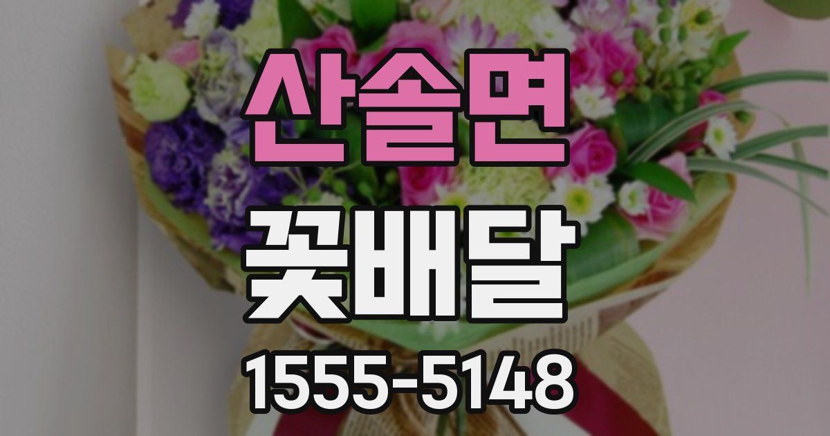 산솔면 꽃배달
