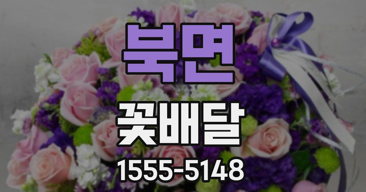 북면 꽃배달