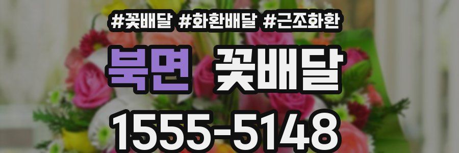 북면 꽃배달