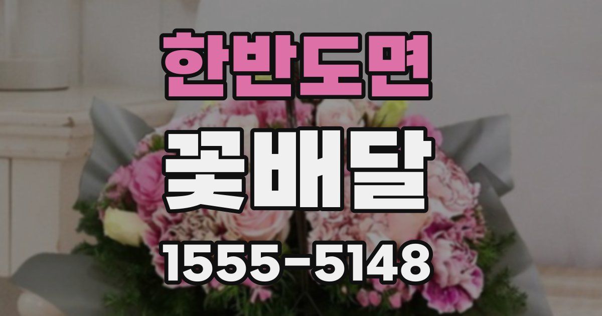 한반도면 꽃배달