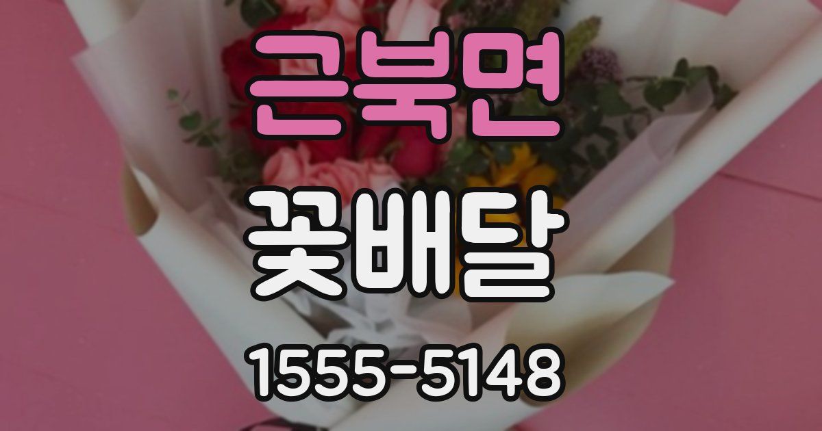 근북면 꽃배달