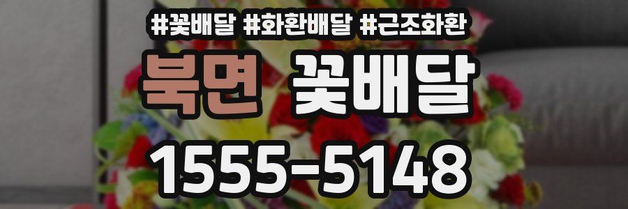 북면 꽃배달
