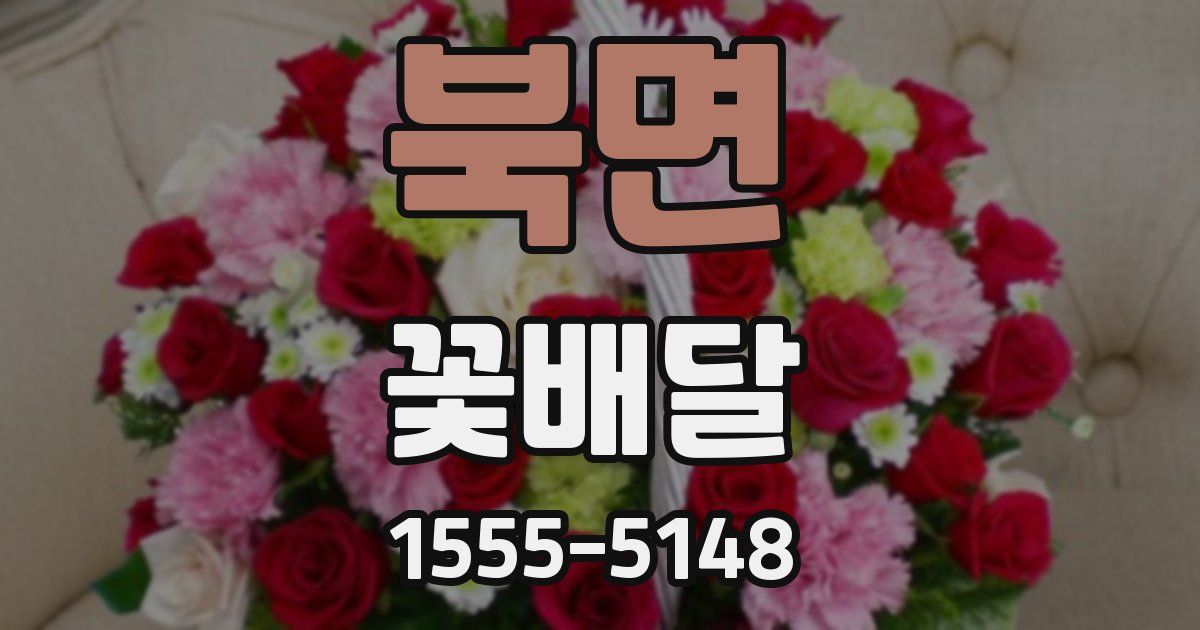 북면 꽃배달