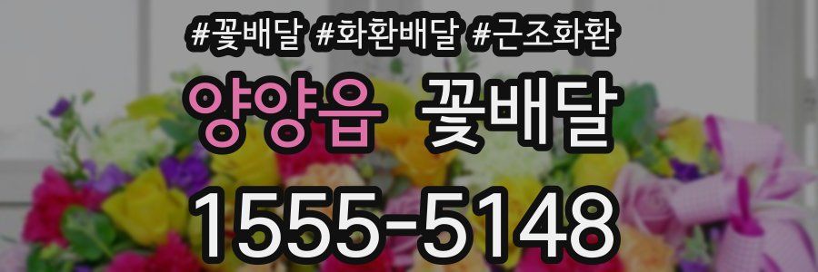 양양읍 꽃배달