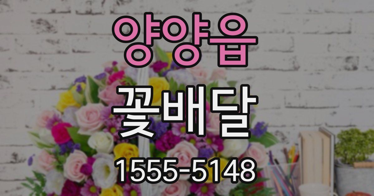 양양읍 꽃배달