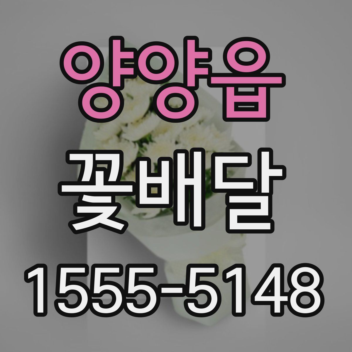 양양읍 꽃배달