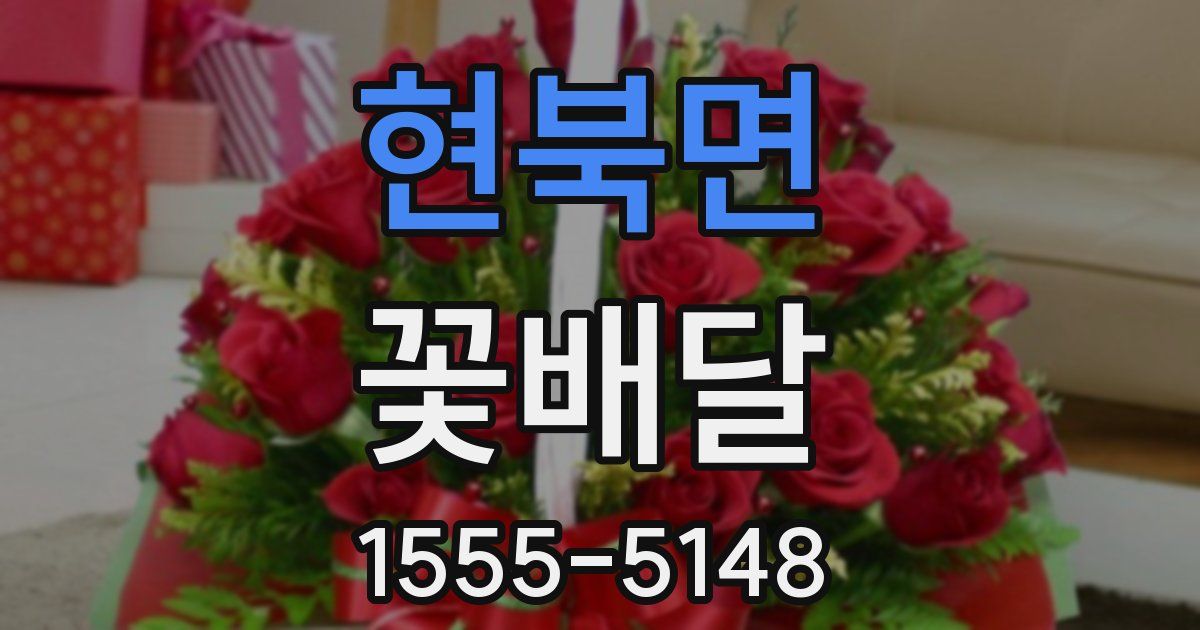현북면 꽃배달