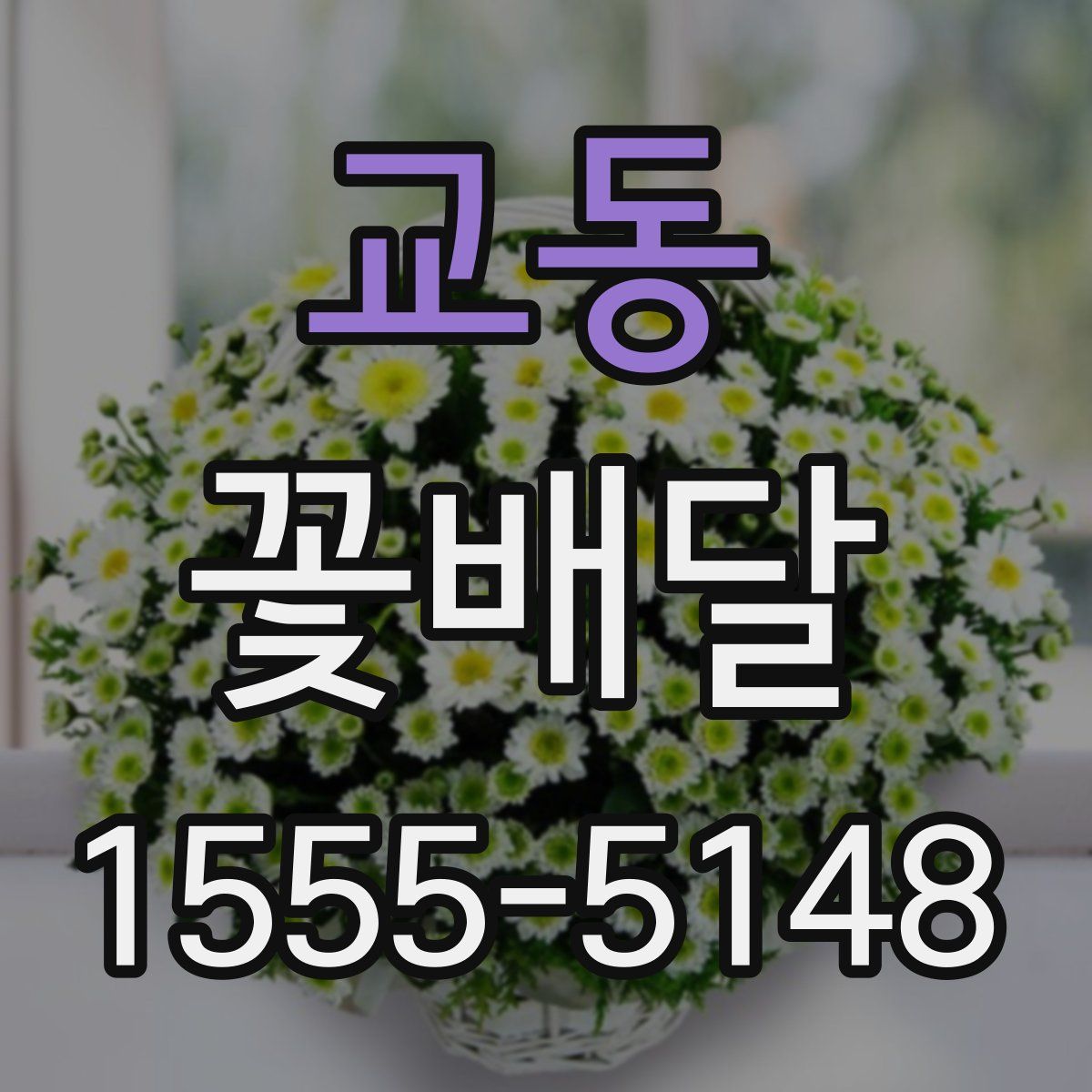 교동 꽃배달