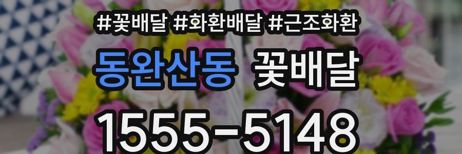 동완산동 꽃배달
