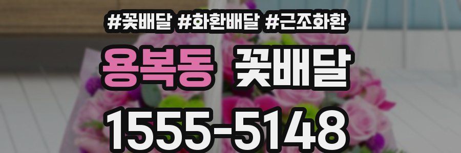 용복동 꽃배달