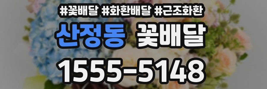 산정동 꽃배달