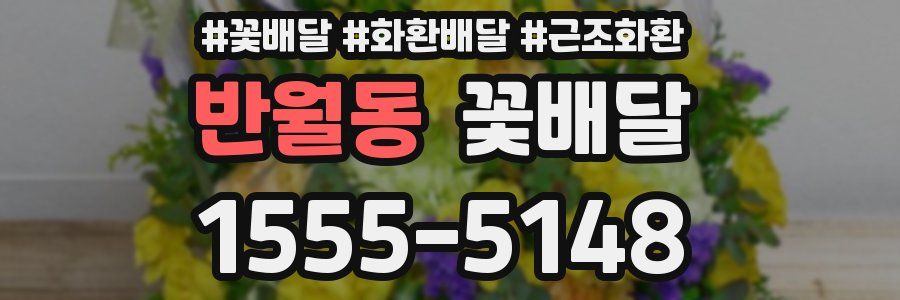 반월동 꽃배달