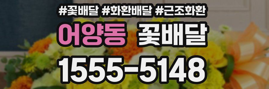 어양동 꽃배달