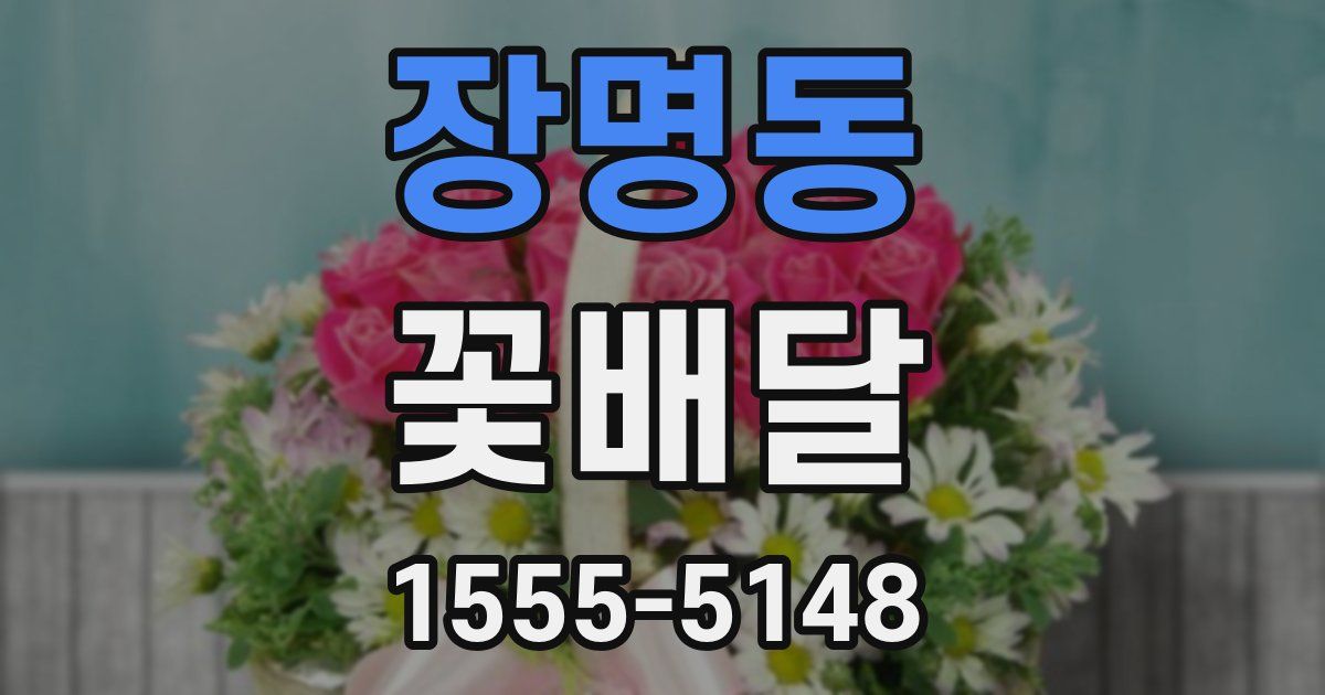 장명동 꽃배달