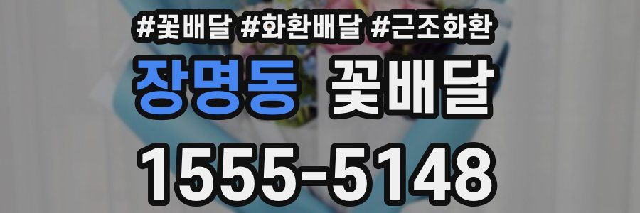 장명동 꽃배달