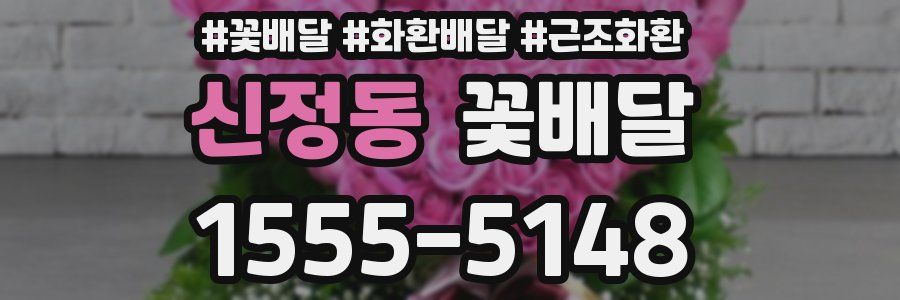 신정동 꽃배달