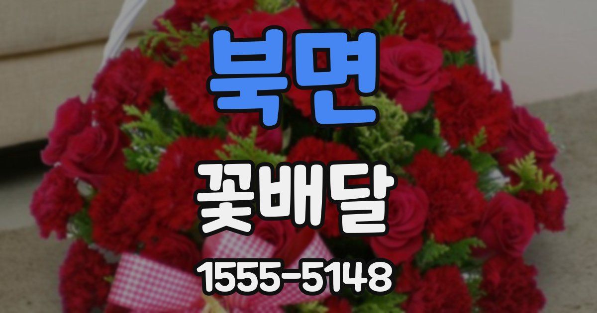 북면 꽃배달