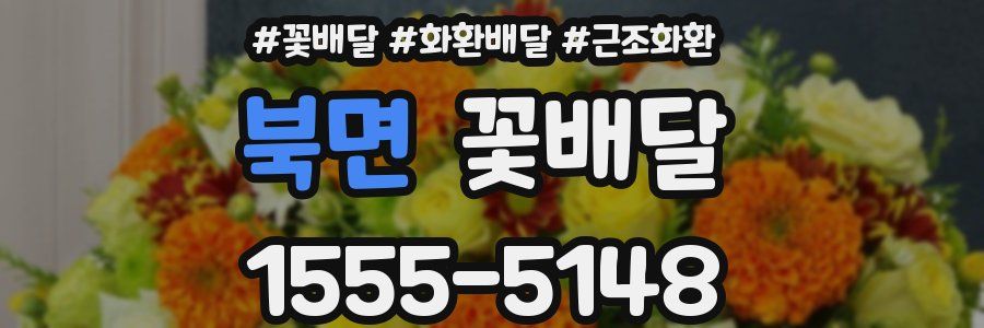 북면 꽃배달