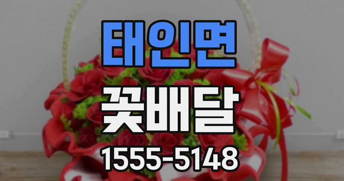 태인면 꽃배달