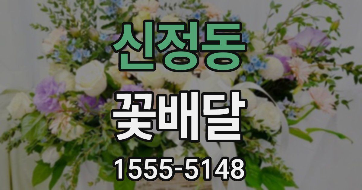 신정동 꽃배달