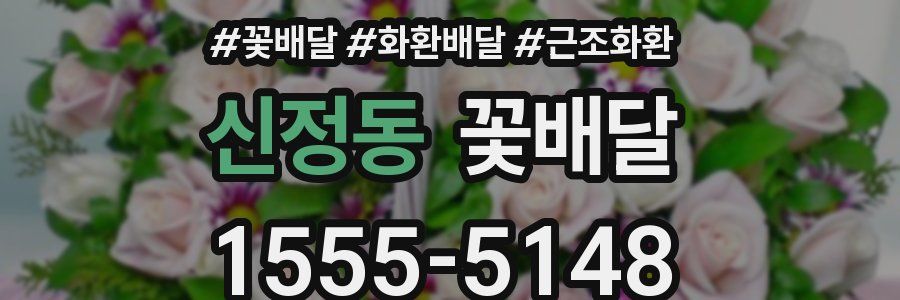 신정동 꽃배달