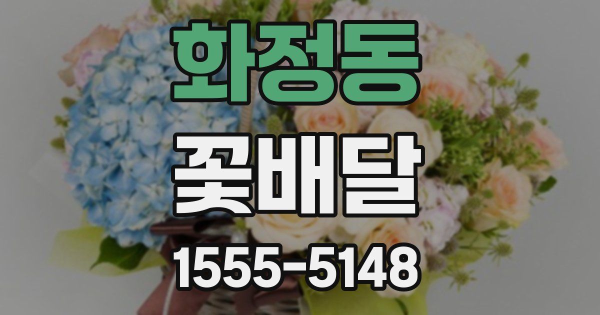 화정동 꽃배달
