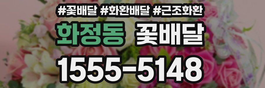 화정동 꽃배달