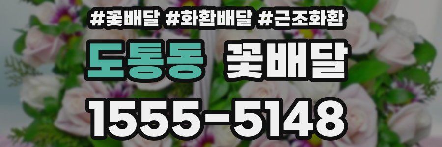 도통동 꽃배달