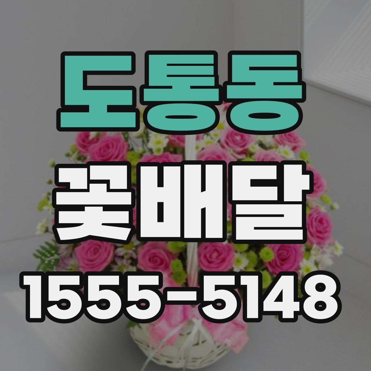 도통동 꽃배달
