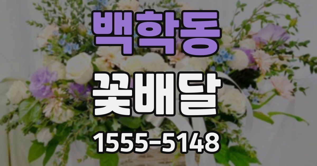 백학동 꽃배달