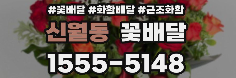 신월동 꽃배달