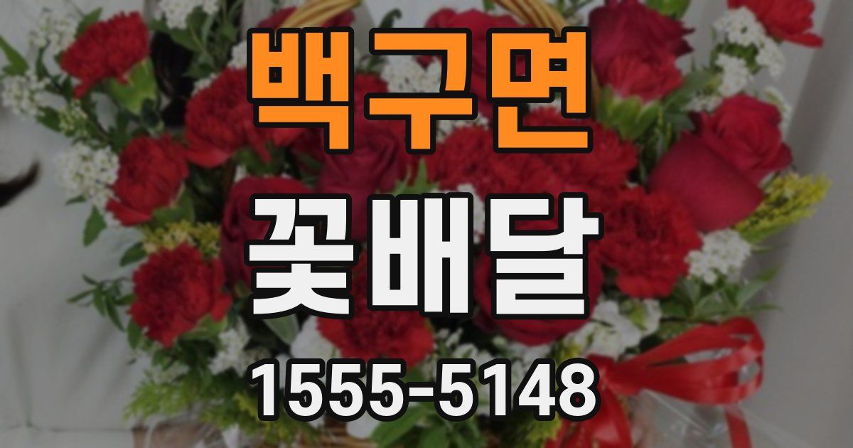 백구면 꽃배달