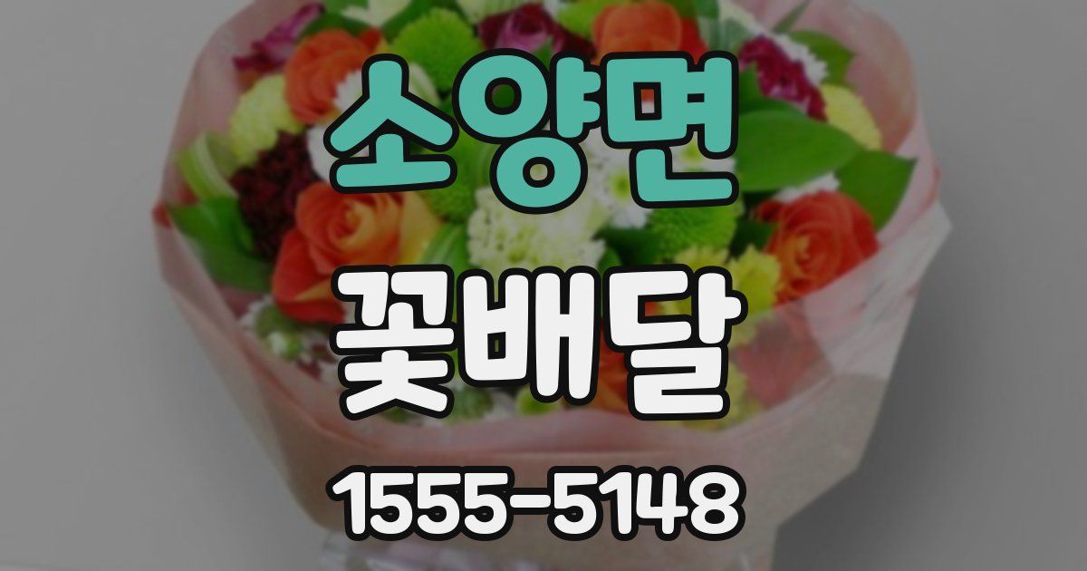 소양면 꽃배달