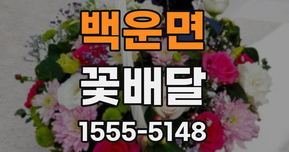 백운면 꽃배달