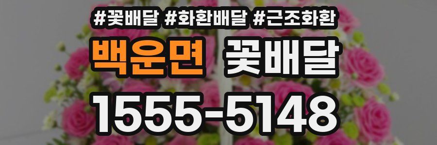 백운면 꽃배달