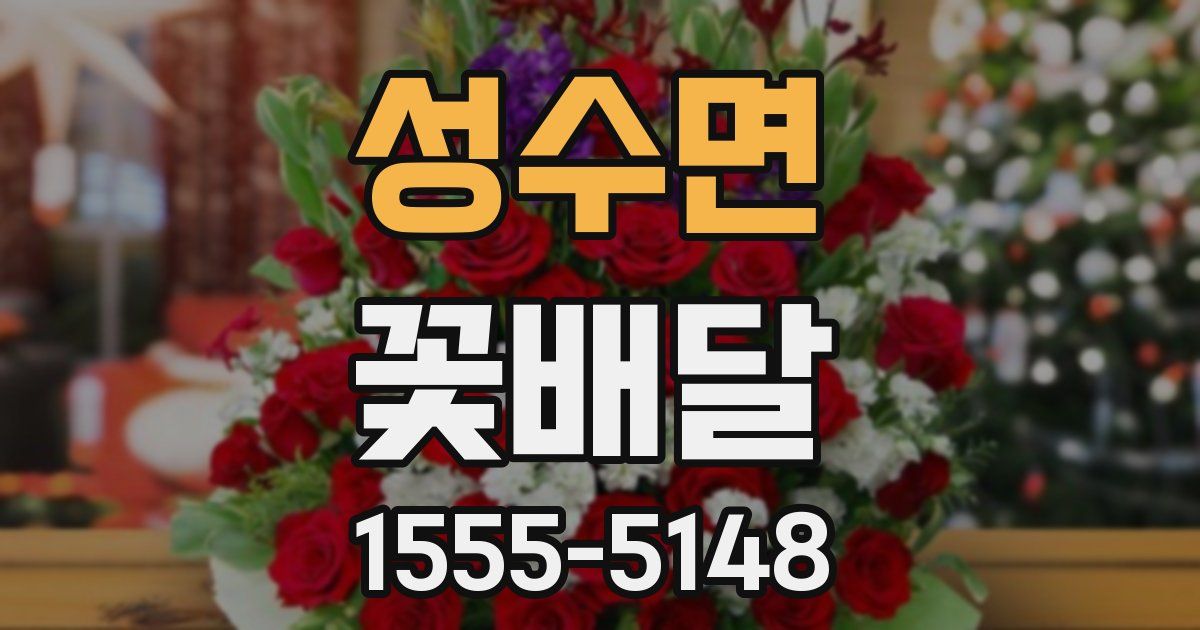 성수면 꽃배달