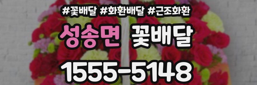 성송면 꽃배달