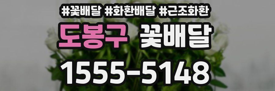 도봉구 꽃배달