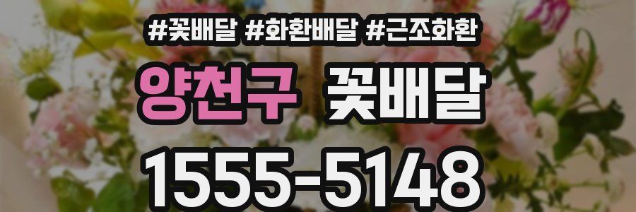 양천구 꽃배달