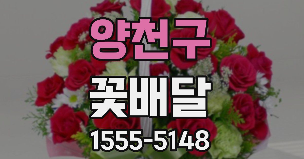 양천구 꽃배달