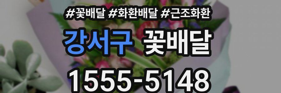 강서구 꽃배달
