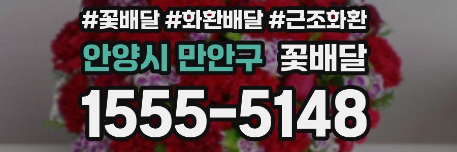 안양시 만안구 꽃배달
