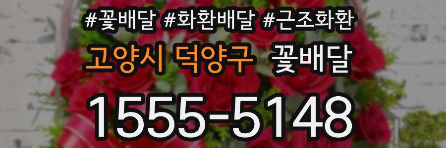 고양시 덕양구 꽃배달